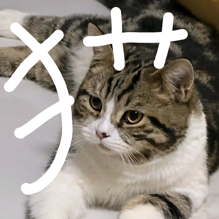 38岁美艳小妈