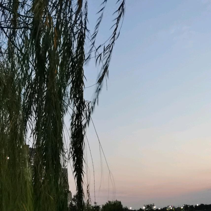 冷暖自知
