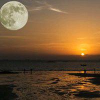 如影随形🇨🇳