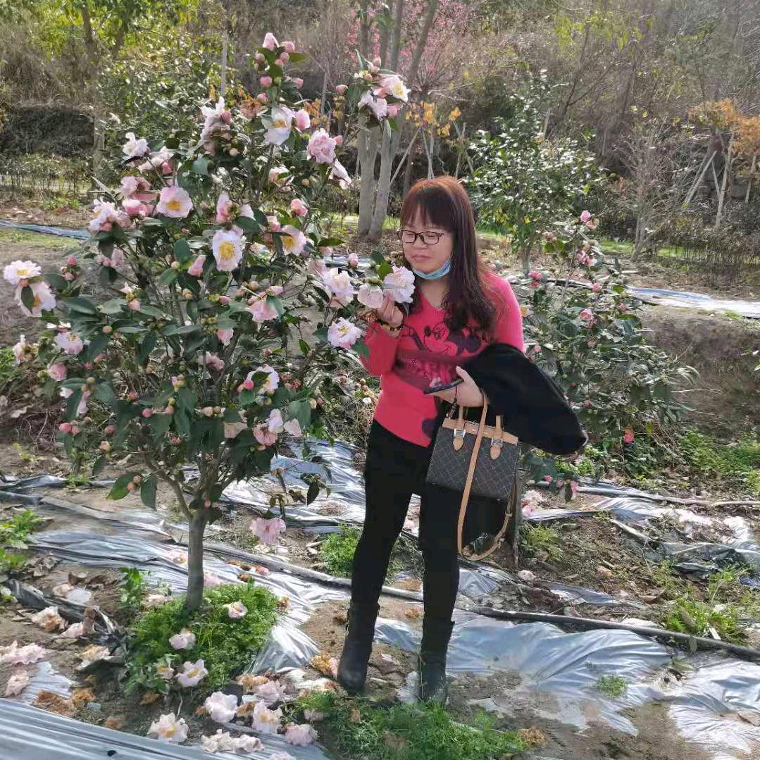 啊英好物