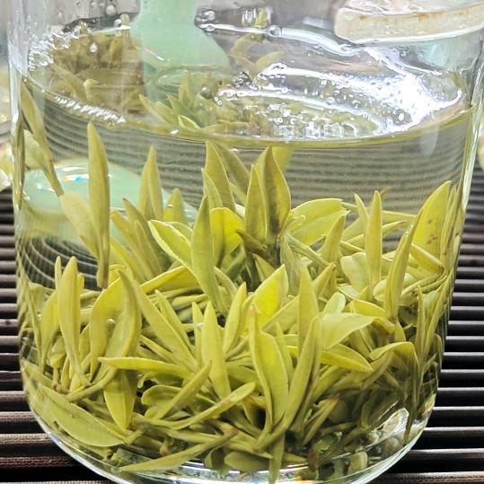 铿锵玫瑰