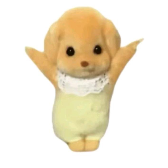 成公教育｜果果