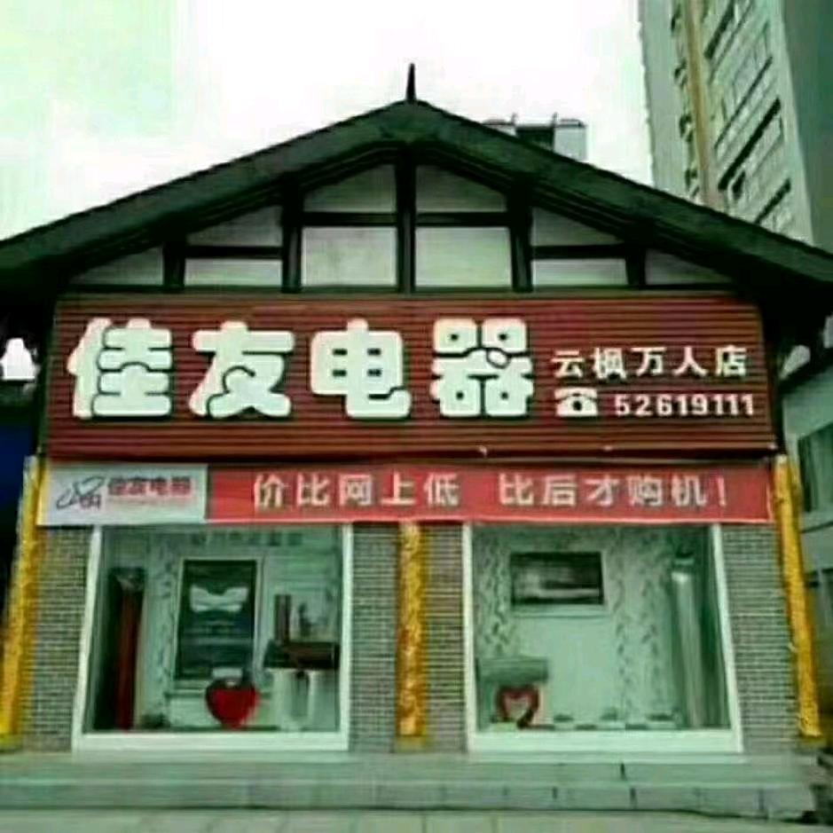 佳友电器康正琴