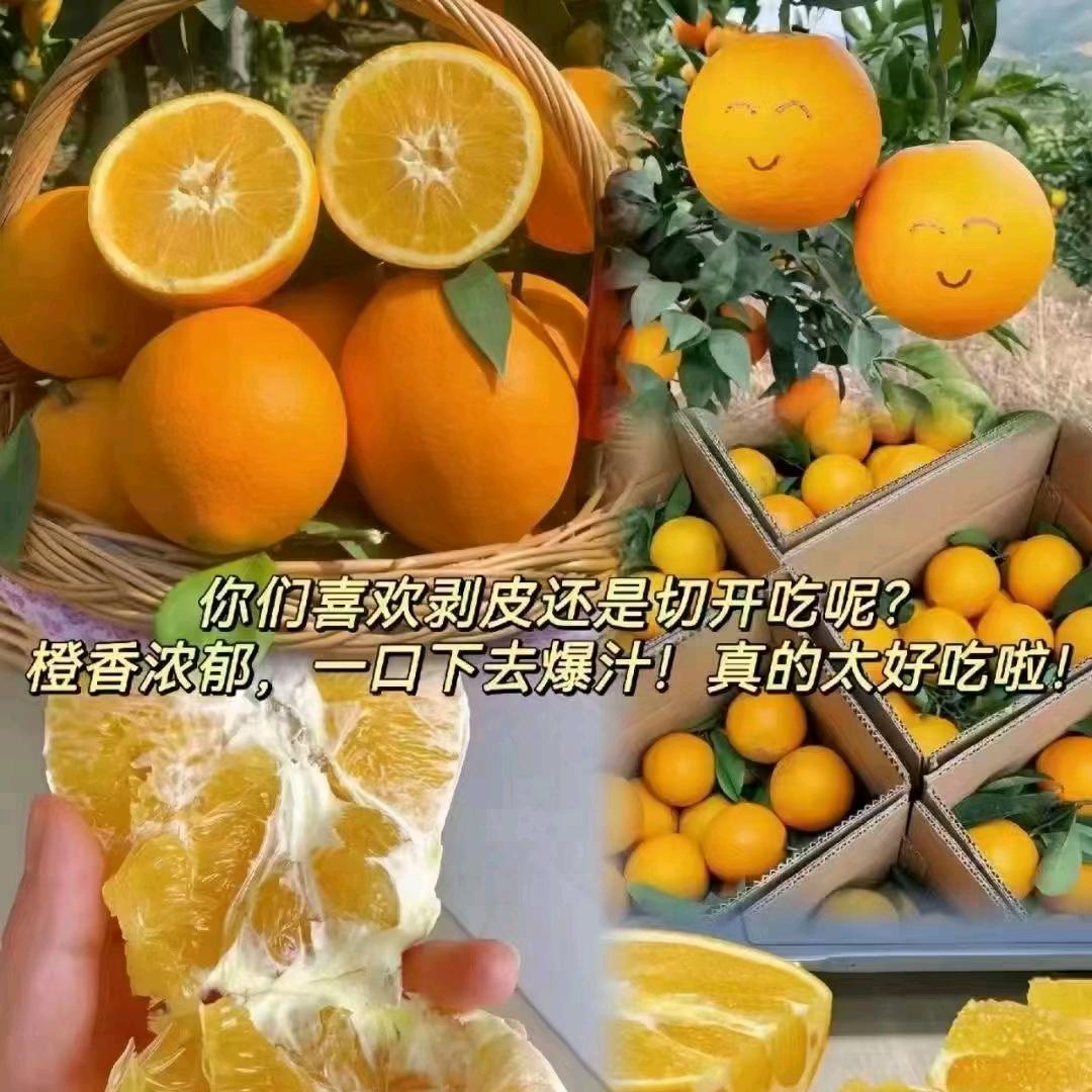 赣南脐橙🌻娜姐😘