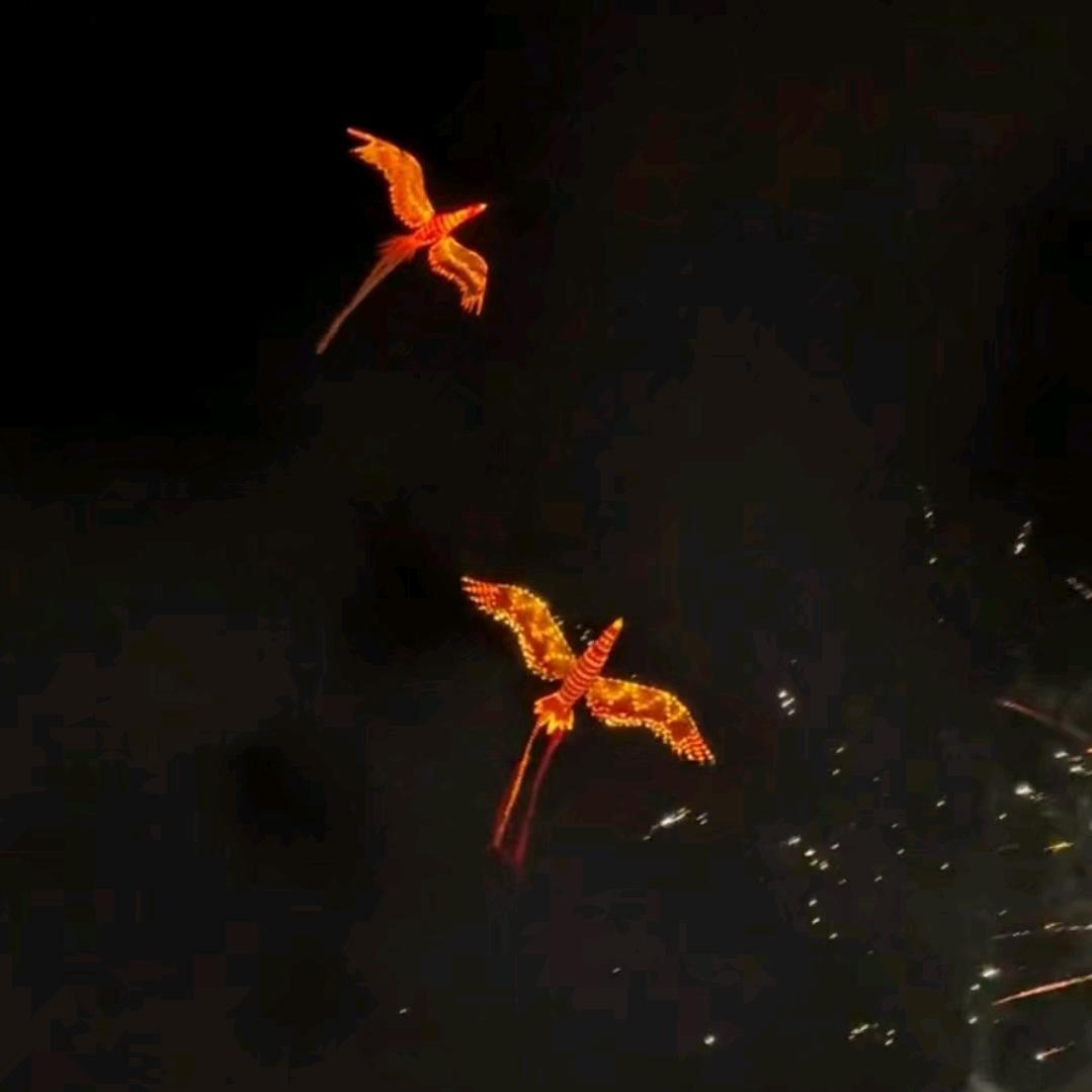 飞龙凤凰无人机表演