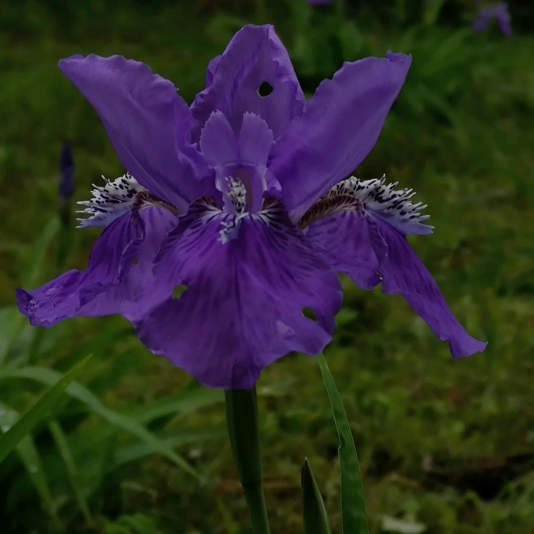 书香怡人爱读书