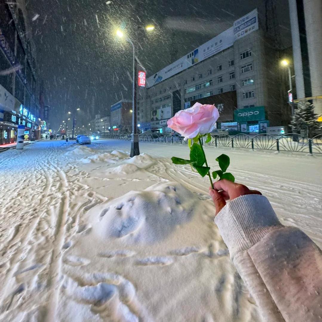 你耍榴芒