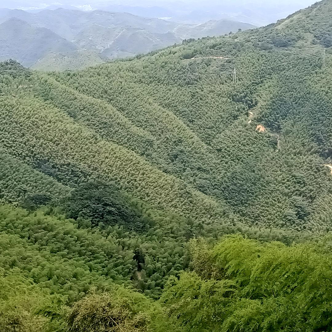 一身平安
