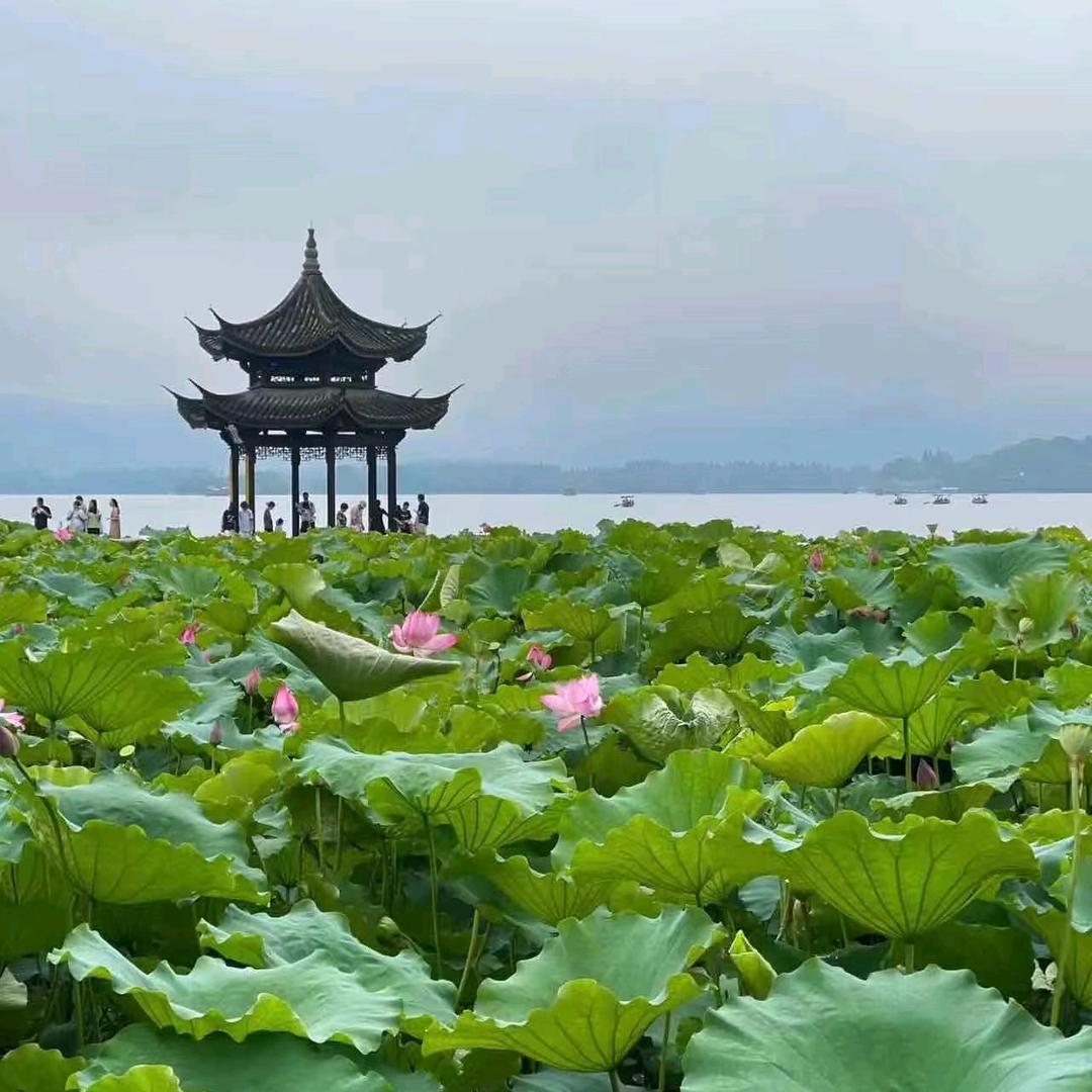 余生努力