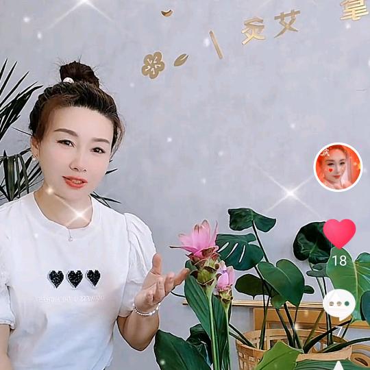 大石桥专业雅璇养生