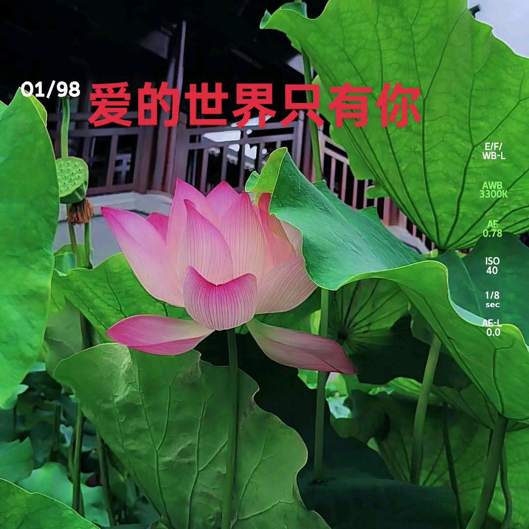 春日暖阳