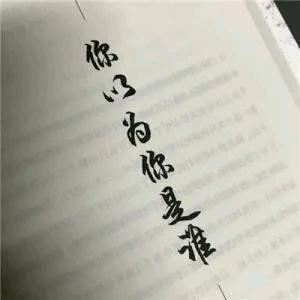 十一