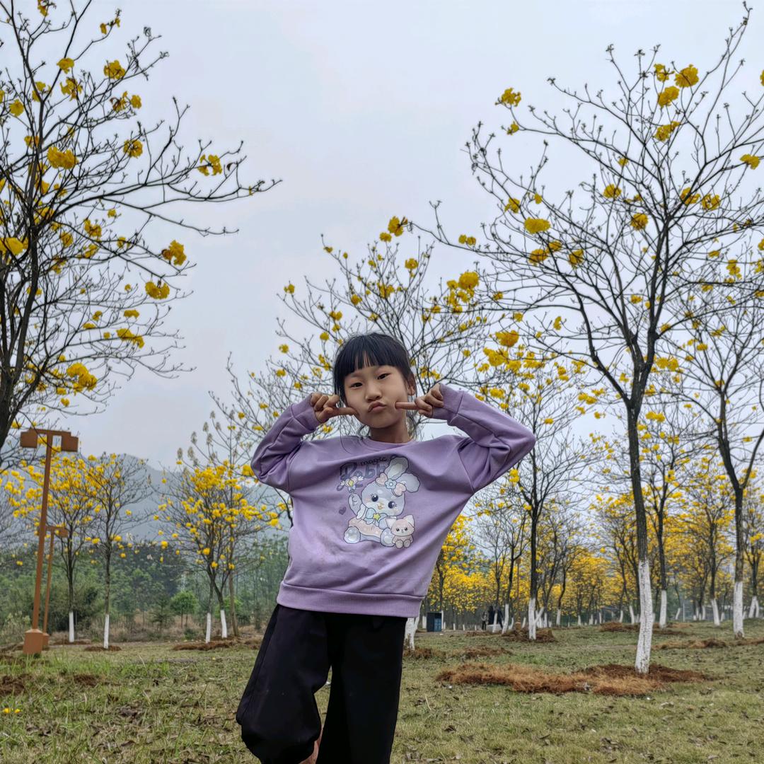 潘姑凉