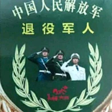 专业美缝