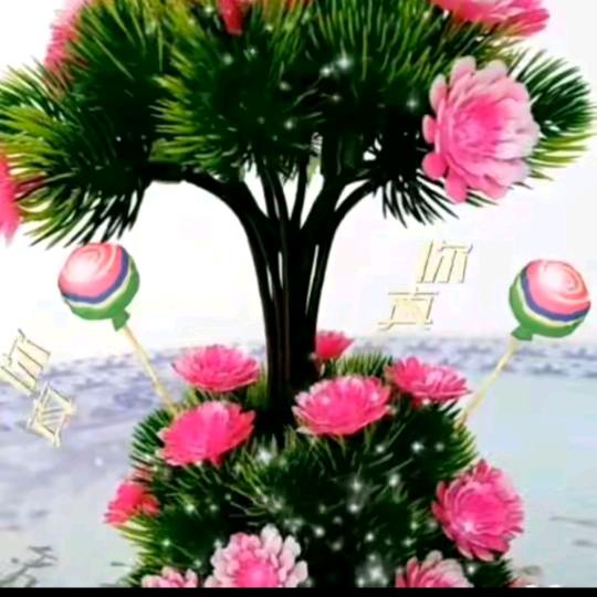 安静💖