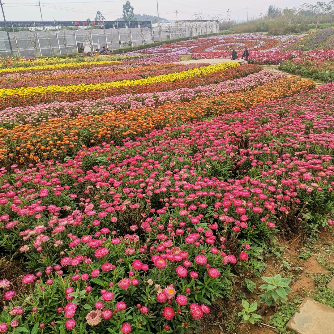 明天会更好😎😎