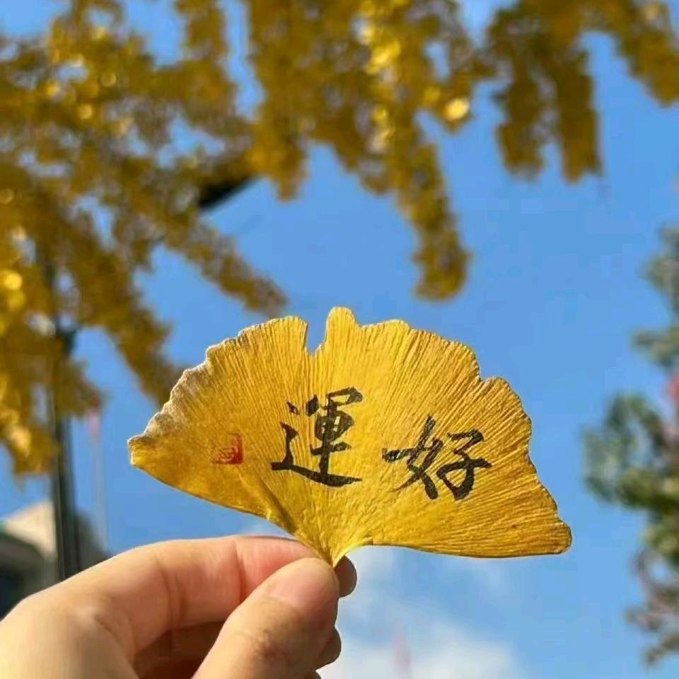 勿忘初心的誓言