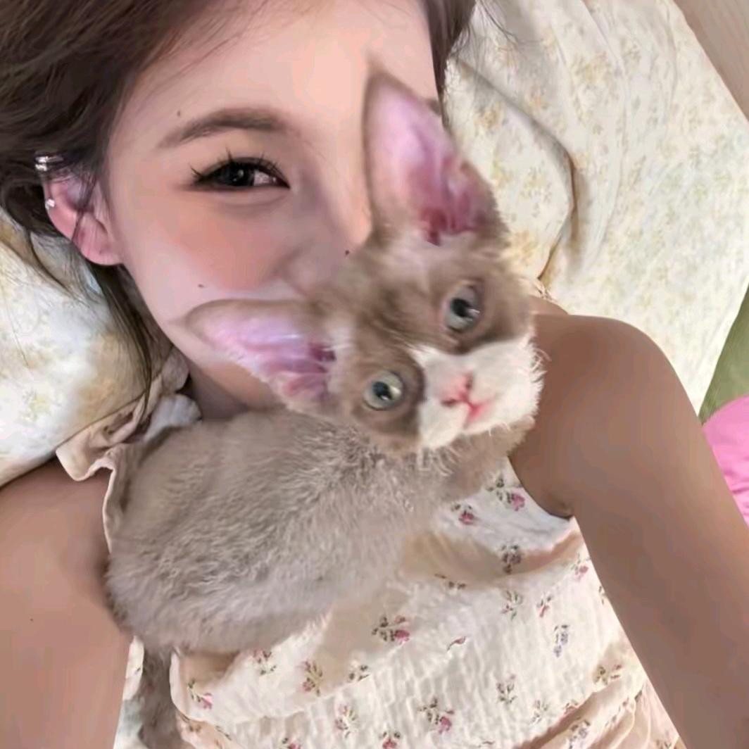 忧郁的欣少^