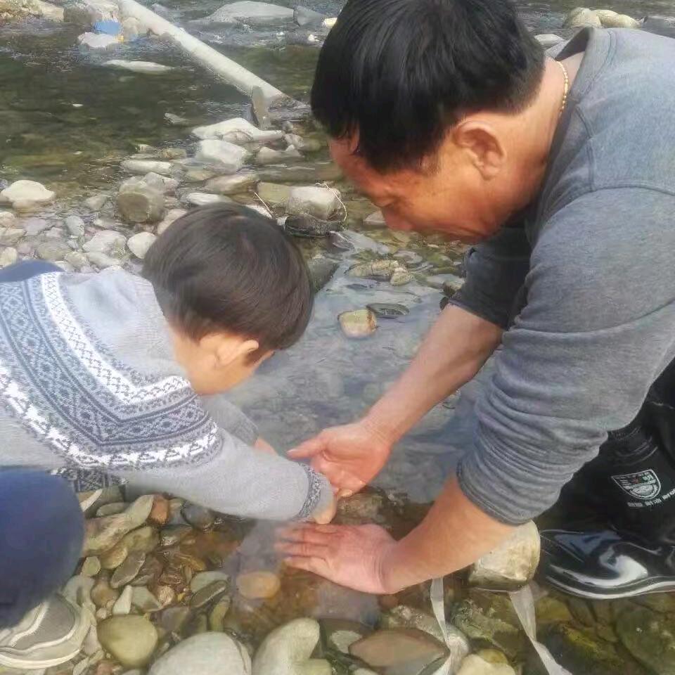 钓鱼🎣佬的司机