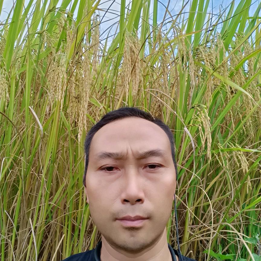 文山水哥 1