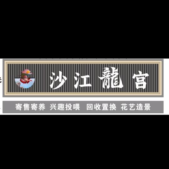 沙江龙宫