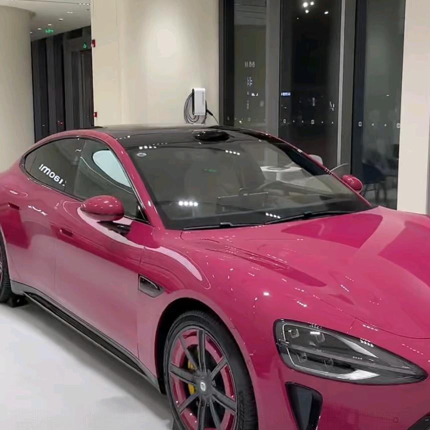 🐩李董事长🐩