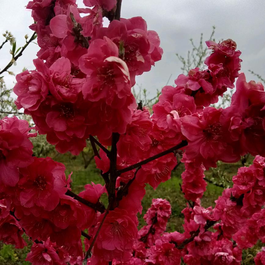 明天会更好、、、