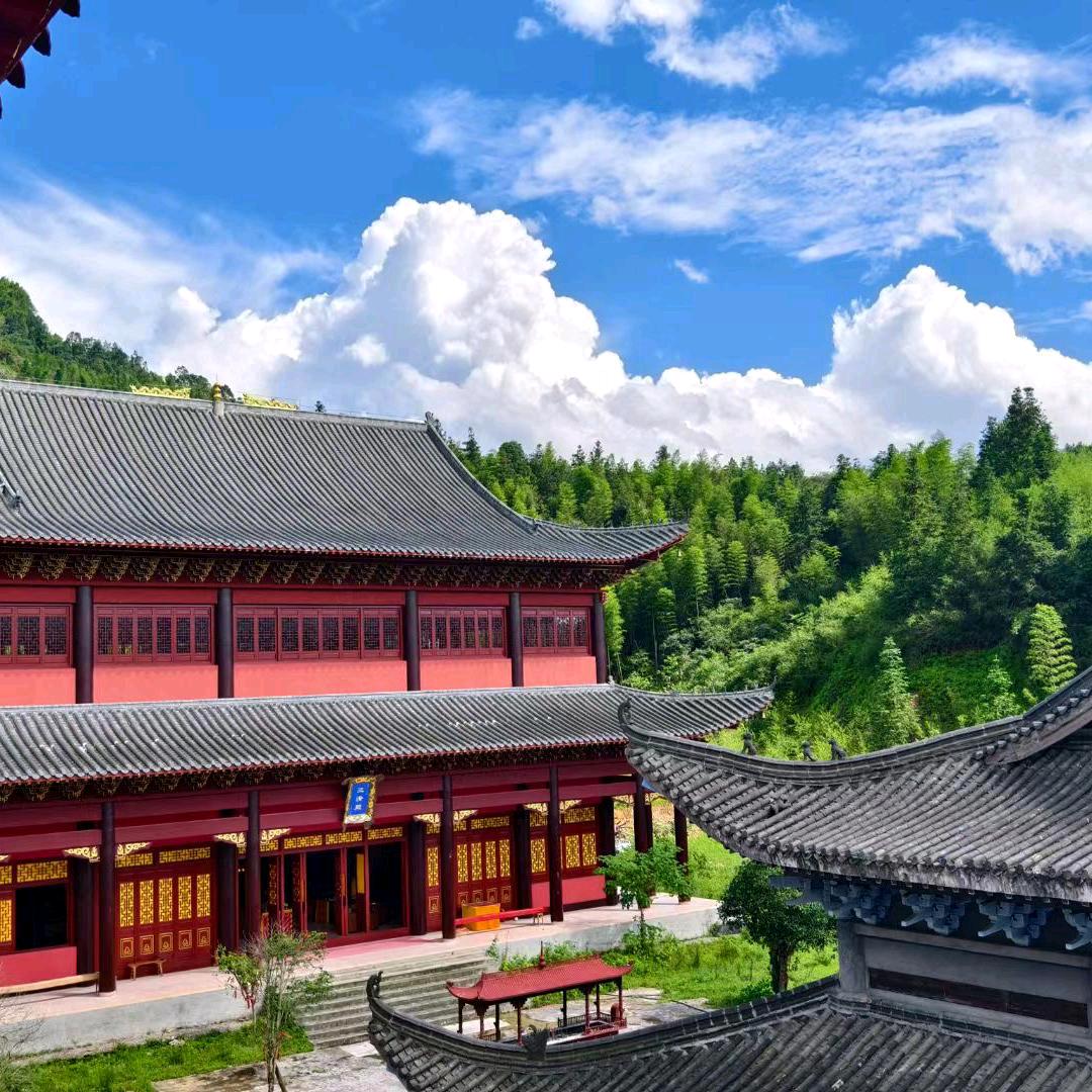 爱拍抖音的二丫头