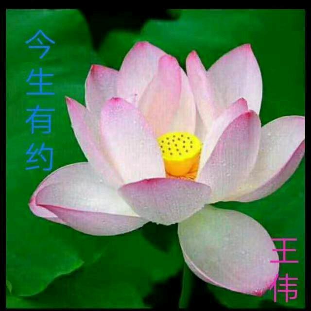 今生有约(好物在橱窗)