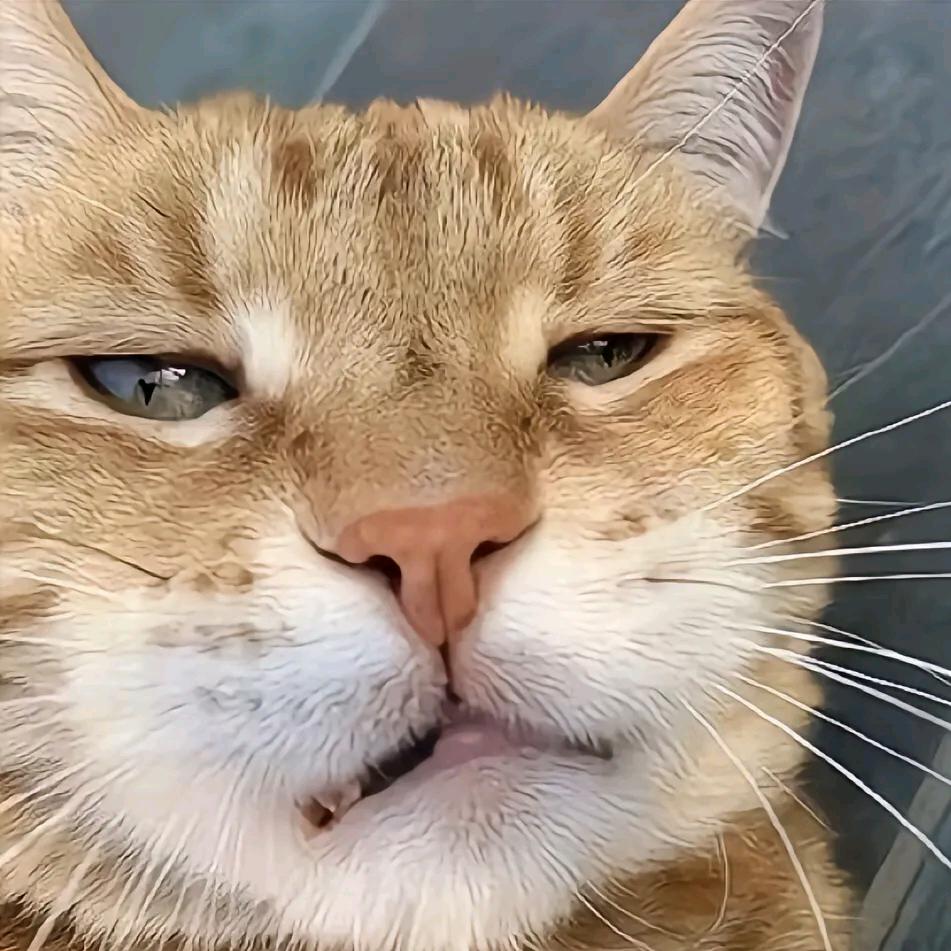 🇮  🇴  🇻  🇪