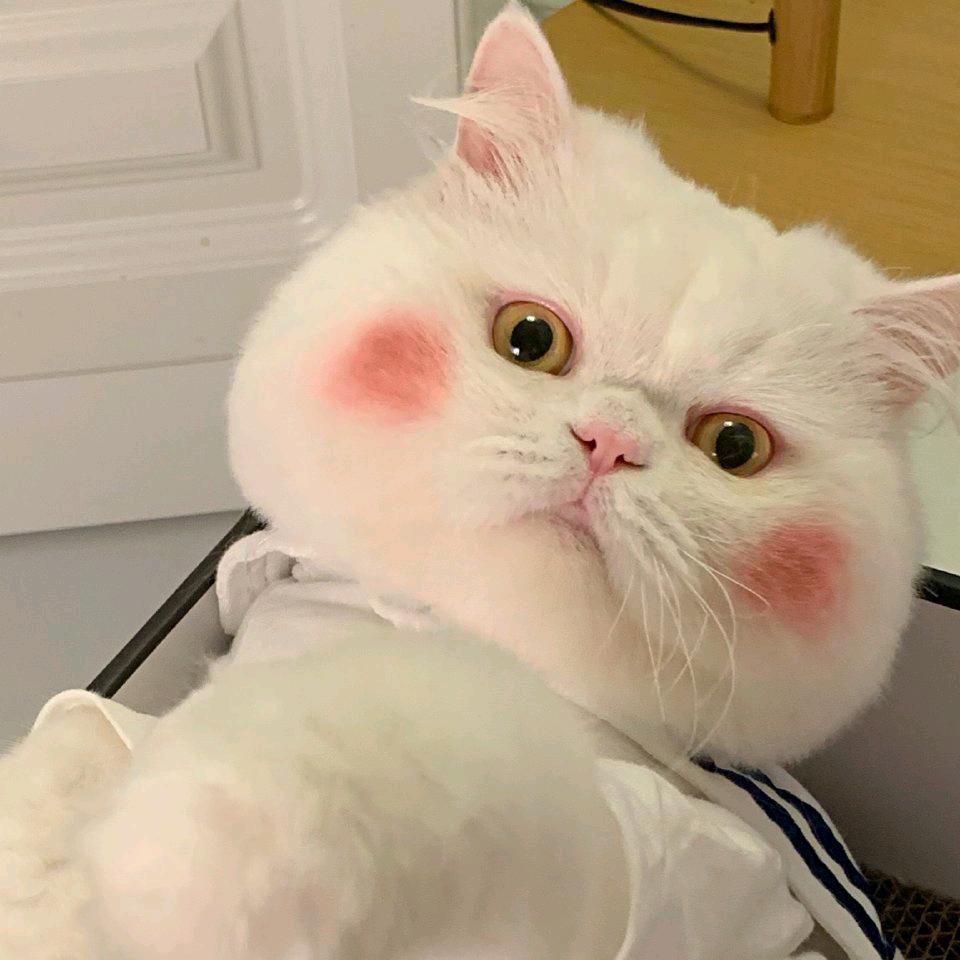 Ou.（好物分享）