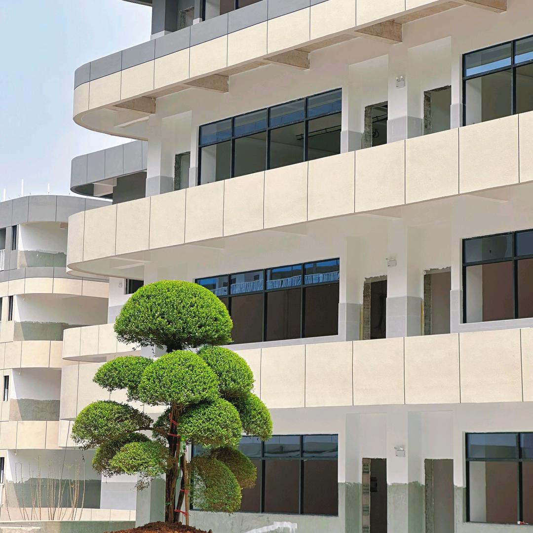 鼎盛学校刘老师