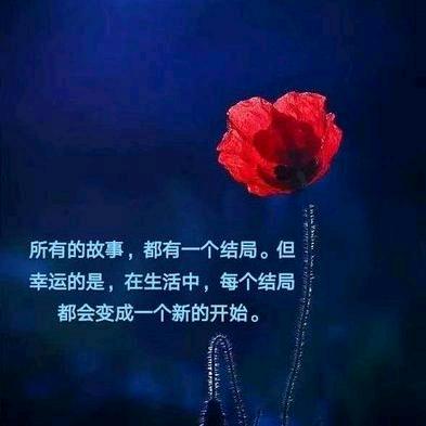 安之若素🍒1688