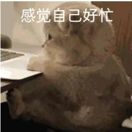 心岚头像