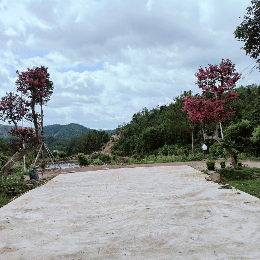 形森花木专业合作社