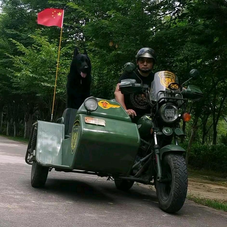 皖北晓晖工作犬基地