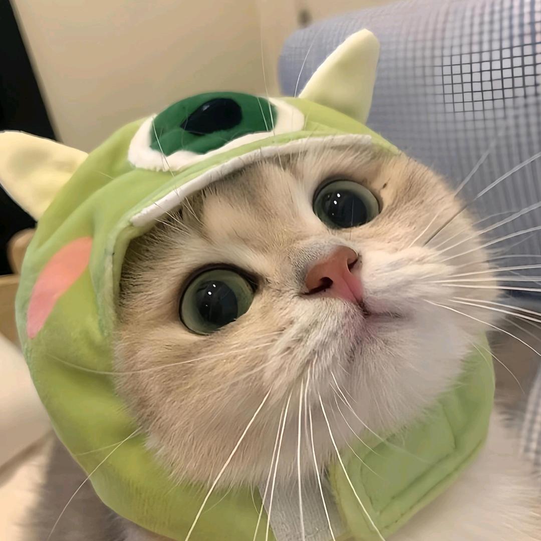 畔枝南