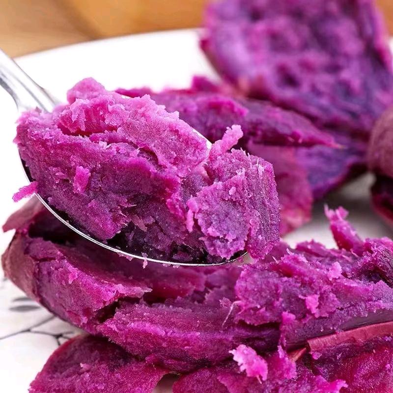 山东紫薯红薯批发原产地