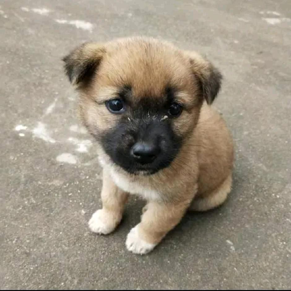 ㅤㅤㅤㅤㅤㅤㅤㅤ