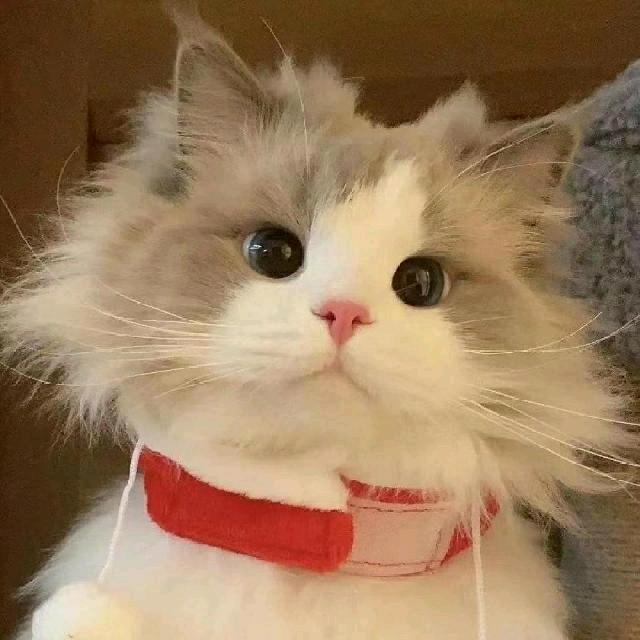 爱已停机