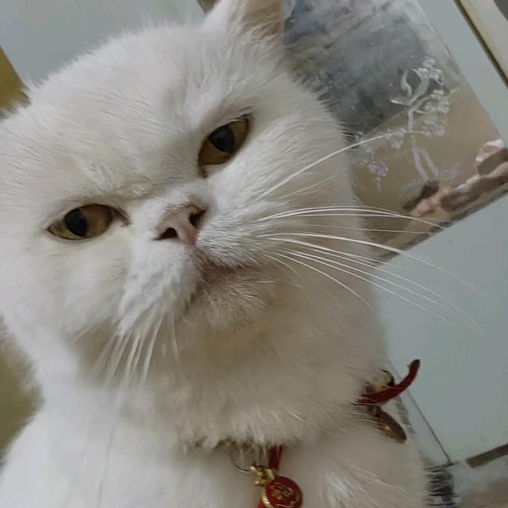 ༺ཉི།未～来～太～遥～远～何～处～寻ཉ