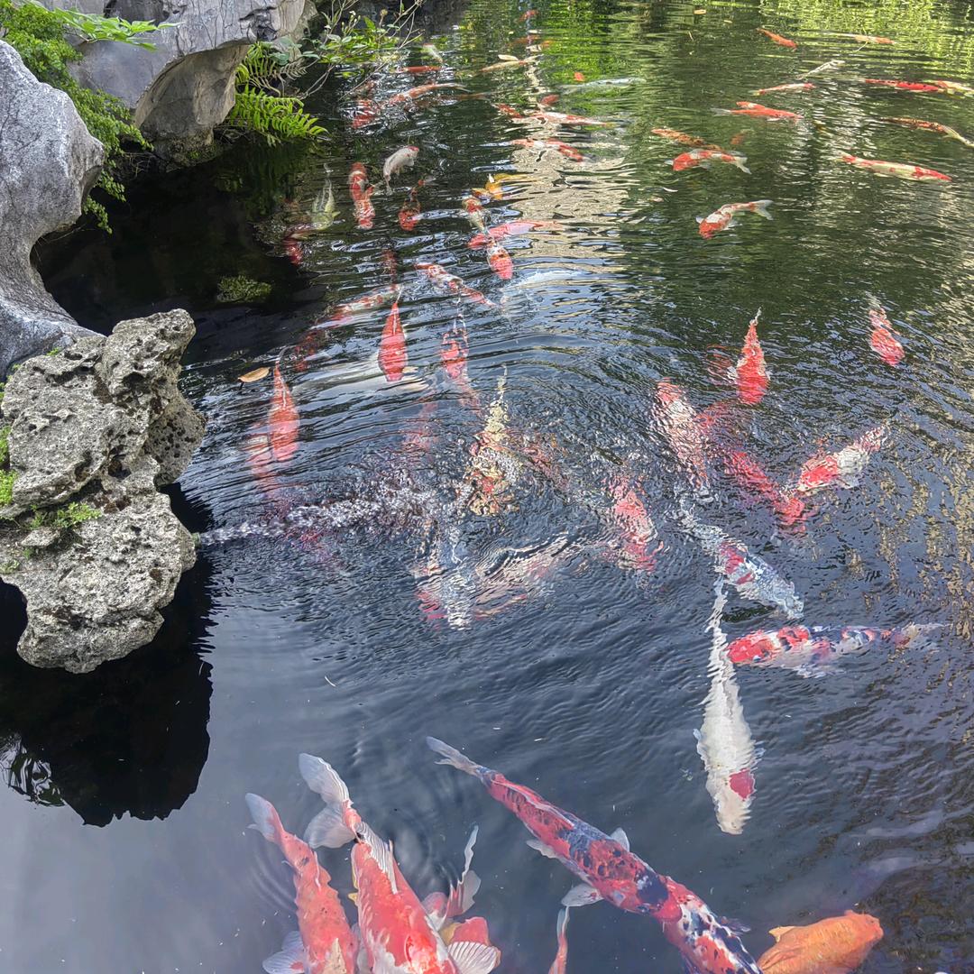 风景如画