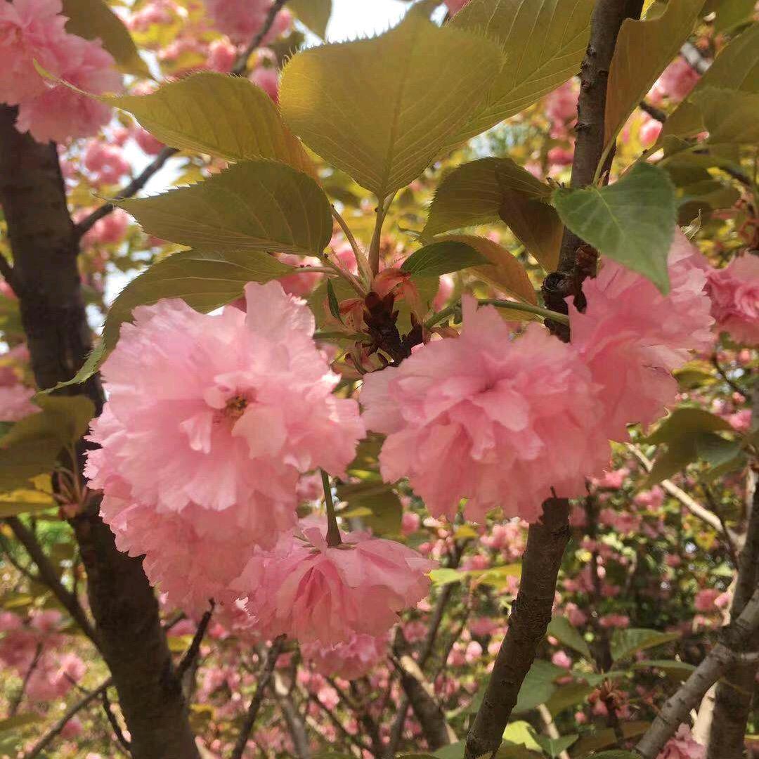 互相宽容