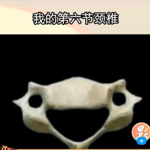 墨墨墨！