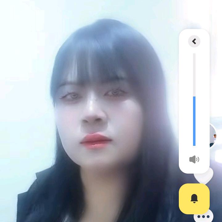 美丽小鸟