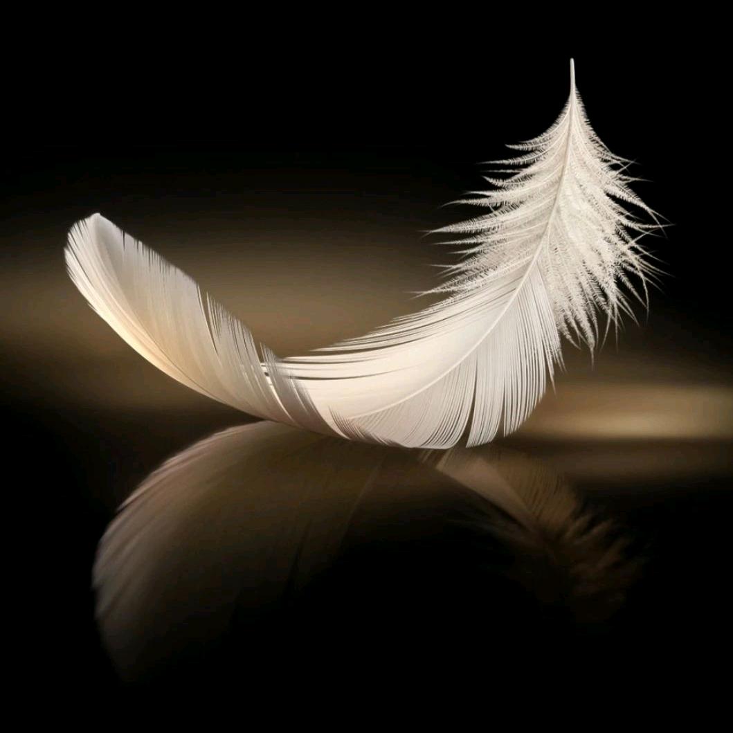 娜年十二月🍬ʰˣ