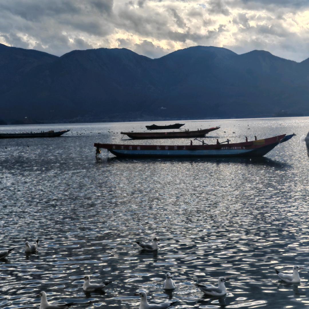 辣梅子好物分享