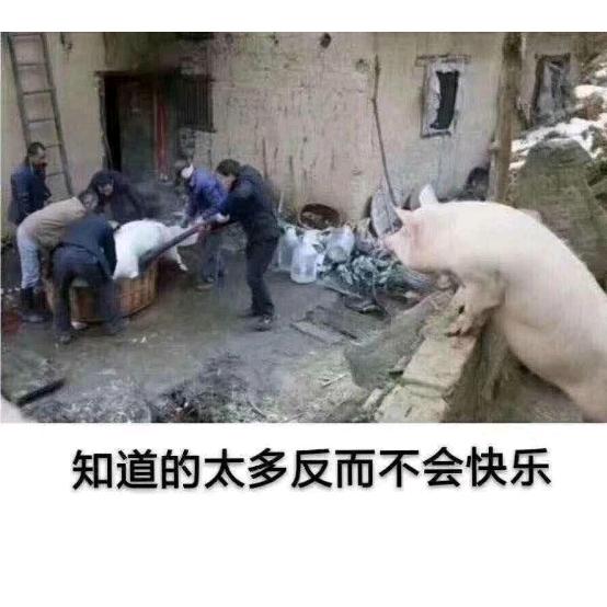 山夆头像