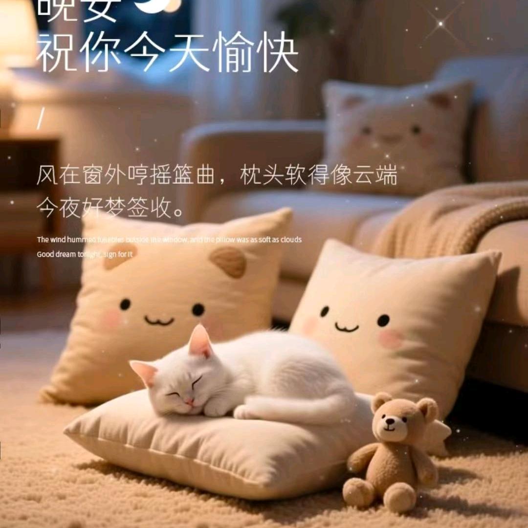 我不后悔遇见你