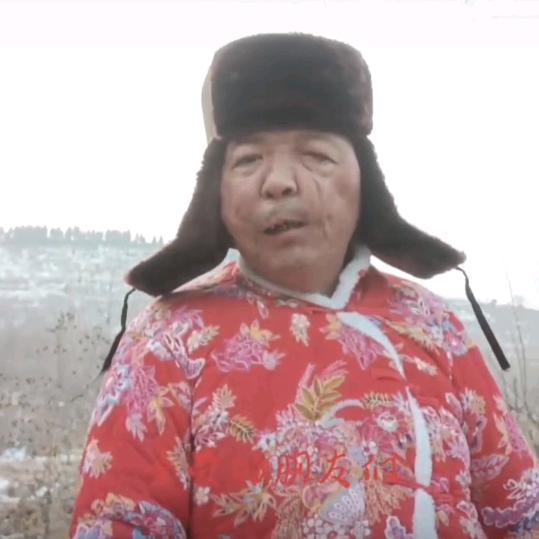 金总